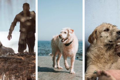 La vida de Arthur cambió en 2014 y hasta inspiró una película.