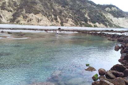 Estas hileras de piedras quedan al descubierto cuando el agua del mar desciende. Son rocas que están ancladas y forman parte de la riqueza ancestral manabita.