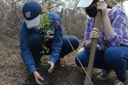 El trabajo lo realizaron en aproximadamente 40 hectáreas de bosque.