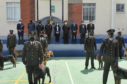Donación. La Policía Antinarcóticos recibió de la Embajada de Estados Unidos 15 canes para la detección de sustancias ilícitas.