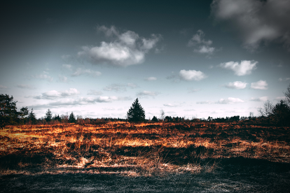 Sin aún haber resuelto la crisis sanitaria, el futuro inmediato no es nada halagüeño.