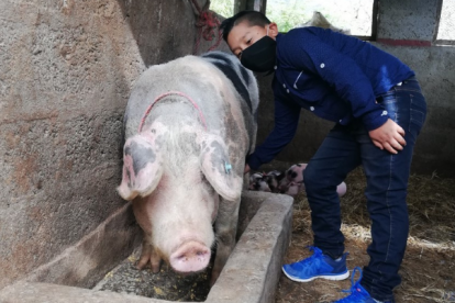 Juan Carlos Juca es el protagonismo de un viral que emocionó al país.