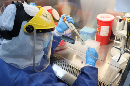 El UEESLab realiza pruebas diarias de diagnóstico y también realiza secuenciación del genoma de los virus detectados.