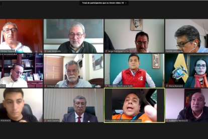 El IV Consejo Consultivo de organizaciones políticas fue a través de Zoom y participaron 11 delegados.