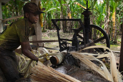 138 trabajadores denunciaron un caso de esclavitud moderna.