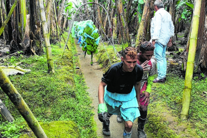Una mayor demanda y oferta de fruta ha permitido que el sector vea crecer hasta en un 7,7% sus ingresos. El 26 % del producto exportable fue al mercado europeo.