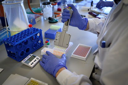 El director del Instituto de Investigación y Diabetes y Centro de Transplante Celular de la Universidad de Miami.