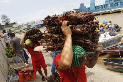 Vendedores de cangrejos retoman labores tras la finalización de la veda.