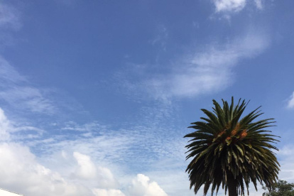 Diligencia. En el Colegio Militar Eloy Alfaro de Quito, un grupo de policías esperaba a las 09:00 la llegada de miembros de la Fiscalía para la reconstrucción de los hechos del 30S.
