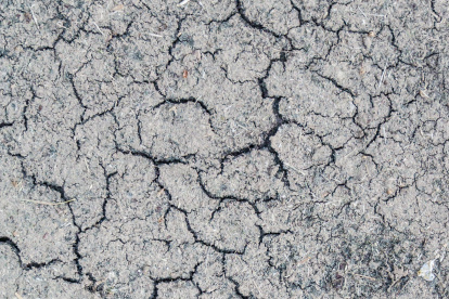 Al menos cinco sismo se han registrado en Esmeraldas.