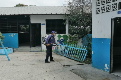 La tarea de fumigación se realiza en coordinación con el Ministerio de Salud.