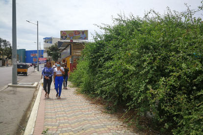 Maleza. En el centro del cantón Playas son decenas los solares que permanecen con maleza y basura. El problema se torna inseguro debido a la escasa iluminación de algunas calles y callejones.