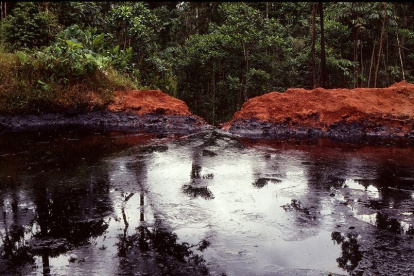 La muestra cuenta con fotos antiguas de zonas que se han visto afectadas por la explotación.