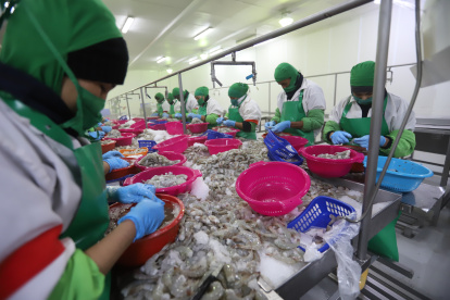 En el 2020, el sector logró exportar 1.491 millones de libras. Asia,su principal nicho.