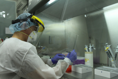 Podrán participar las Idea-proyecto y Puesta en marcha.