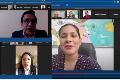 El pleno del Consejo de Participación se reunió este 26 de enero de 2021 y el tema de las vacunas fue abordado por los consejeros.