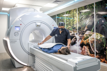 Establecimiento. El centro de imágenes se levanta en la avenida Francisco Boloña 729, en la ciudadela Kennedy, al norte de Guayaquil.