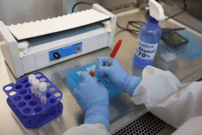 Investigadores trabajan con muestras de la Covid-19 ayer, en el Laboratorio de Diagnóstico en Enfermedades Emergentes y Reemergentes (LaDEER) de la Universidad de Guadalajara (UDG).