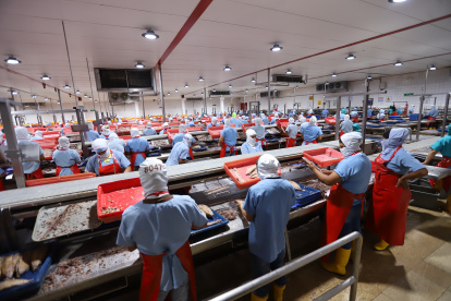 Desde el año 2020 hubo precios más bajos en marcas de atún.