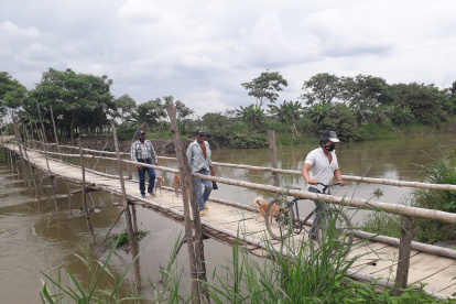 Hecho. Cuando el nivel del agua sube, el puente de caña colapsa y los habitantes quedan incomunicados.