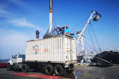 El sector pesquero no paró durante la pandemia y mantuvo las exportaciones.