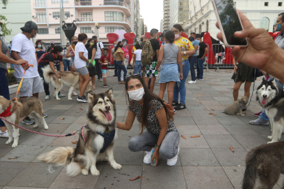 Los miembros del Club Lobos de Ártico se reunieron en el Malecón 2000.