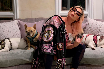 La artista hizo un llamado a los delincuentes a quienes asegura no tomar represalias.