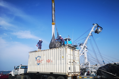 Producción. El país procesa en tierra 550.000 toneladas anuales de pescado, 250.000 son importadas.