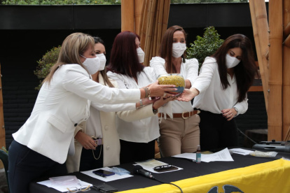 Llamado. Las excandidatas esperan que más personas se les unan y anuncian más acciones.