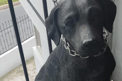 La AMC acudió a un falso llamado.