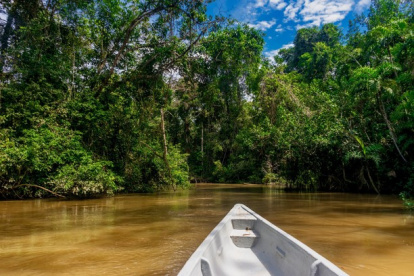 El Banco Mundial estima que hay aproximadamente 476 millones de indígenas en más de 90 países y, aunque sólo constituyen el 6 % de la población mundial, su forma de vida protege el 80 % de la biodiversidad del planeta.