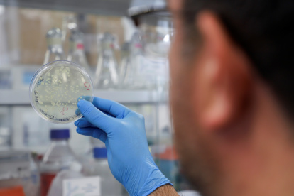 Investigadores descubren una posible nueva variante de la covid-19 en Bélgica.