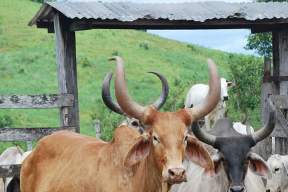 ag-periodistasasfasdf