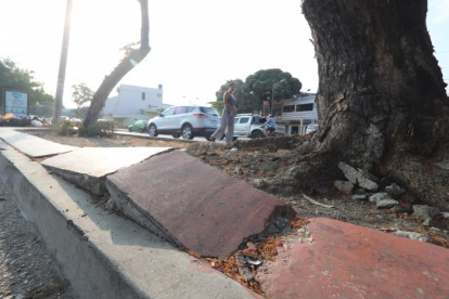 Este es el estado de los parterres de Sauces.