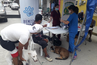 Hecho. Llegaron de al menos seis recintos de Daule con sus mascotas.
