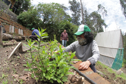A raíz de la pandemia, los socios y voluntarios acuden al huerto dos veces por semana para cultivar las frutas y verduras y preparar sus otras ofertas.