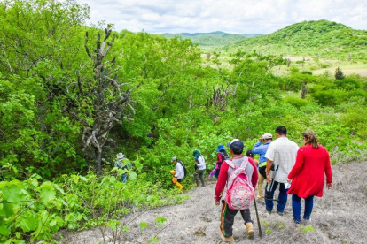 Recorrido. Los comuneros acuden en busca del palo santo en lo alto de la cordillera que atraviesa la península de Santa Elena.