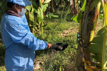 Colombia puso en cuarentena varias fincas en 2019