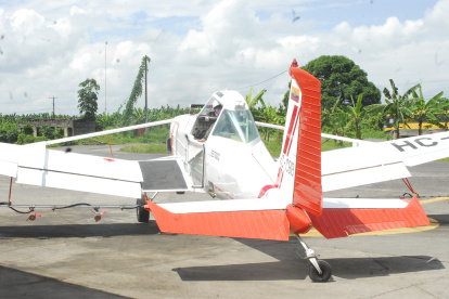 El costo del control fitosanitario es alto. La sigatoka exige fumigación aérea.