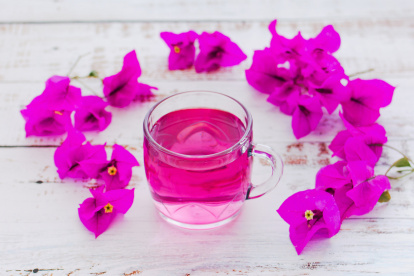 La Bugambilia se utiliza para tratar la tos