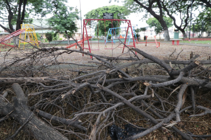 El parque Amazonas, que lleva el mismo nombre de la ciudadela ubicada en el sur de la urbe, está lleno de ramas secas de árboles que han sido podados por los mismos moradores.