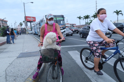Distracción. Ya sea a pie o en bicicletas, los canes van con sus dueños.