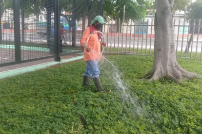 En varios puntos de la ciudad, se limpiaron calles, vías, canaletas y parques.