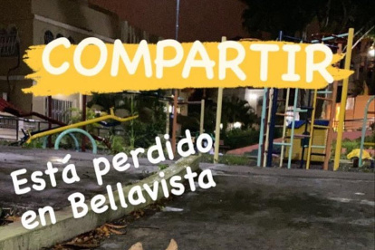 La cantidad de anuncios sobre mascotas perdidas aumenta en las redes sociales.