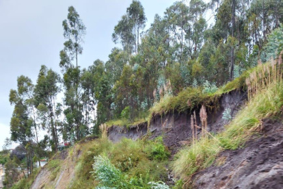 Cierre. En la avenida Camilo Ponce Enríquez un deslizamiento de tierra provocó el cierre de la vía por casi dos horas.