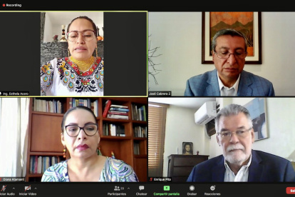 El pleno del Consejo Nacional Electoral sesionó hoy de manera virtual.