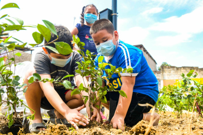 Personal de la Dirección de Áreas Verdes y moradores de la Coop. Luz del Guayas sembraron 450 plantas ornamentales y 2 guayacanes rosados.
