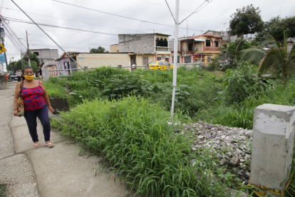 Los moradores de la Martha de Roldós denunciaron semanas atrás las molestías que les traía la maleza crecida en la zona.