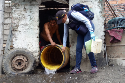 La enfermedad causada por la picadura del mosquito Aedes aegypti registra un incremento de casos.