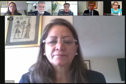 Elena Najera llegó al CNE con es auspicio de Concertación. La consejera ya ha actuado en otras pcasiones en el pleno del organismo electoral.